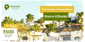Sharm El Sheikh Tours Twitter Post Template PSD
