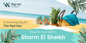 Sharm El Sheikh Tours Twitter Post Design Template