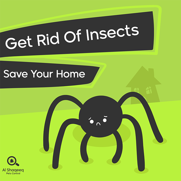 تصميم بوست فيس بوك مكافحة الحشرات | قوالب منشورات