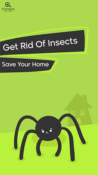 تصميم ستوري فيس بوك مكافحة الحشرات | حالات انستقرام
