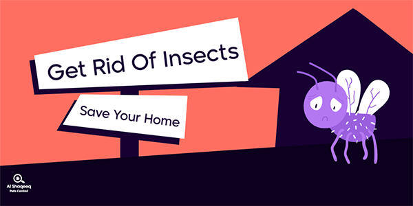 قالب تصميم منشور تويتر مكافحة الحشرات والقوارض