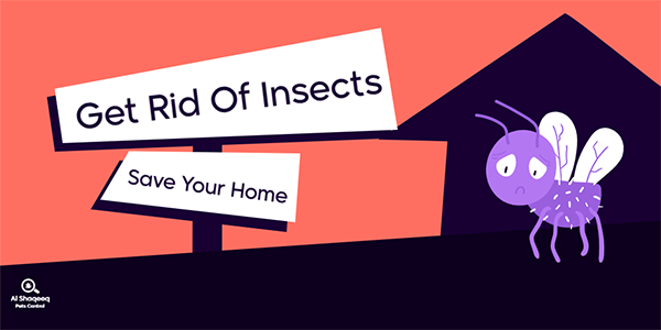 Pest Control Twitter Post Mockup Editable