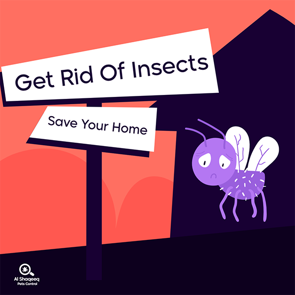 تصميم منشور انستقرام مكافحة الحشرات | بوستات سوشيال ميديا