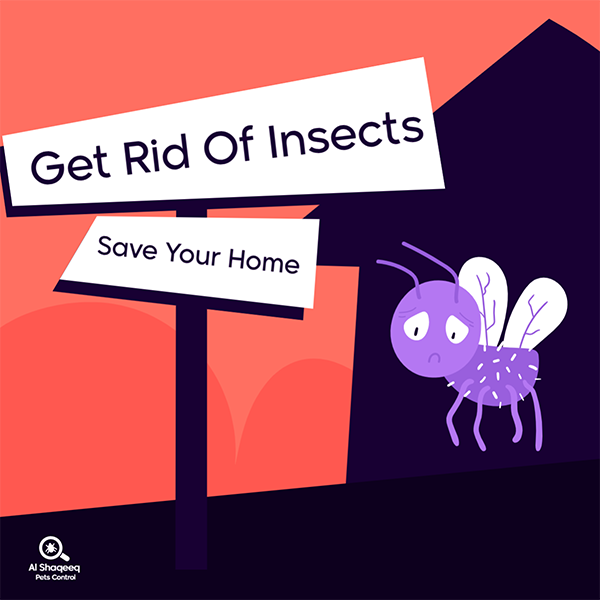 Pest Control Instagram Post Template Editable PSD