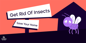 قالب تصميم منشور تويتر مكافحة الحشرات والقوارض