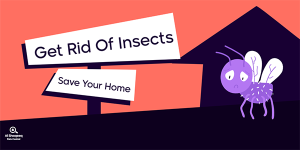 Pest Control Twitter Post Mockup Editable