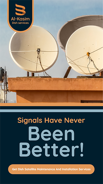 Satellite Dish Services Instagram Story Template