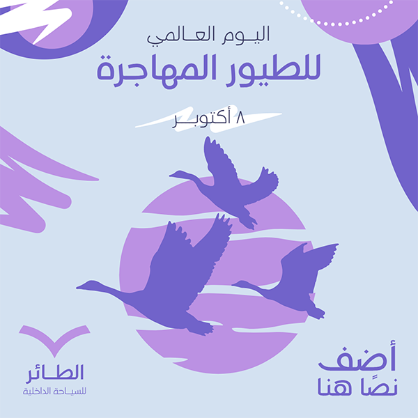 تصميم قالب ابداعي احتفال اليوم العالمي للطيور المهاجرة