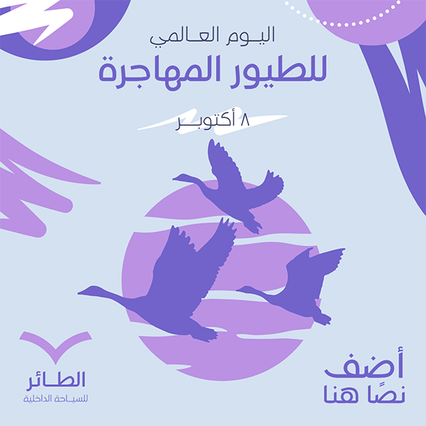 World Migratory Bird Day Social Media Template