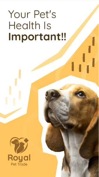 Pet Shop Instagram Story Template | Dog Insta Story