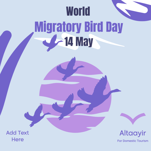 Get This World Migratory Bird Day Poster Template