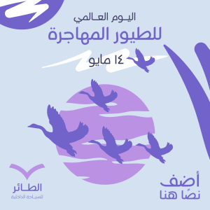 Get This World Migratory Bird Day Poster Template