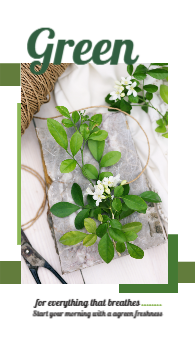 Green leaves instgarm story template ad maker   | Instagram Nature Story Templates  2 Previews
