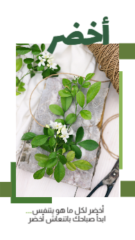 Green leaves instgarm story template ad maker   | Instagram Nature Story Templates  0 Previews