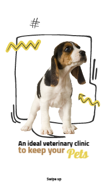 Veterinary clinic for pets story design online   | Best Free and Customizable WhatsApp Status Templates 2 Previews