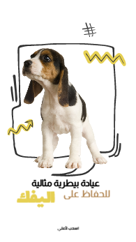Veterinary clinic for pets story design online   |  Arabic and English Snapchat Pets Story Templates 0 Previews