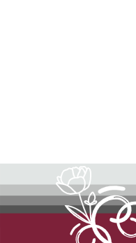 Give roses Facebook strory design   | Whatsapp flowers status templates  1 Previews